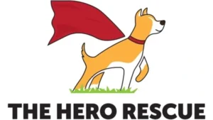 Hero Rescue Wine Bingo | SOLD OUT* @ Harford Vineyard